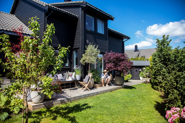 Grønn og frisk hage med planter og blomster